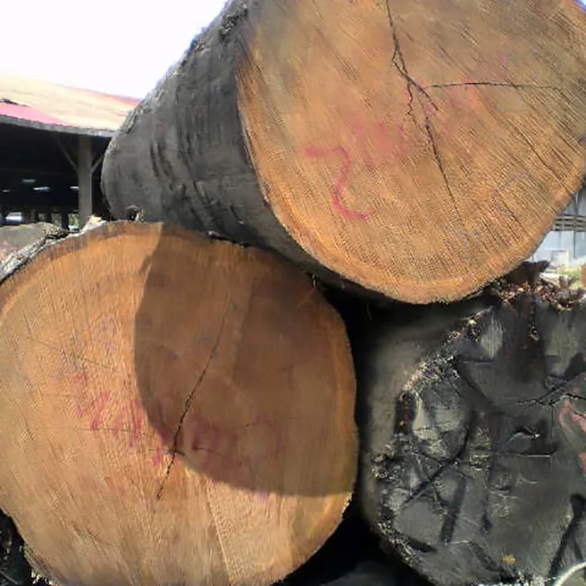 Light Hardwood Mempisang Wood Log