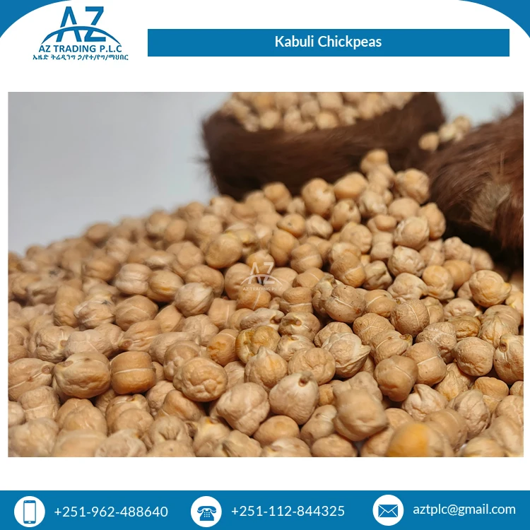 Bulk Quantity Available Dried Organic Ethiopian Kabuli Chick Peas / Chickpeas for Sale