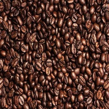 Origin high 100% Best quality palm Coffee Seeds