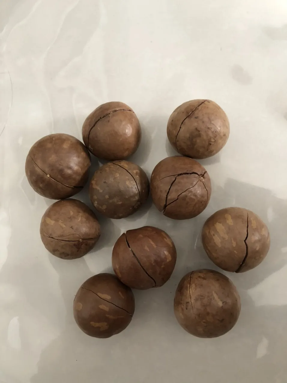 Сушеные Семена макадамии из Вьетнама Sven + 84 966722357