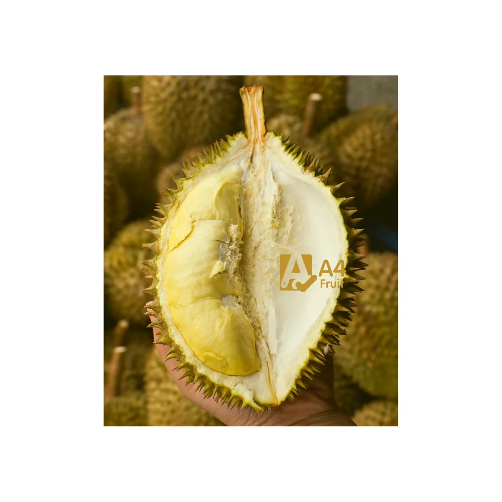 Fresh cut durian for china original from thailand the best durian in this world