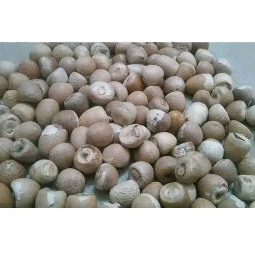 Лучший орех катеху и разделение низкая цена орех катеху весь и разделить на оптом