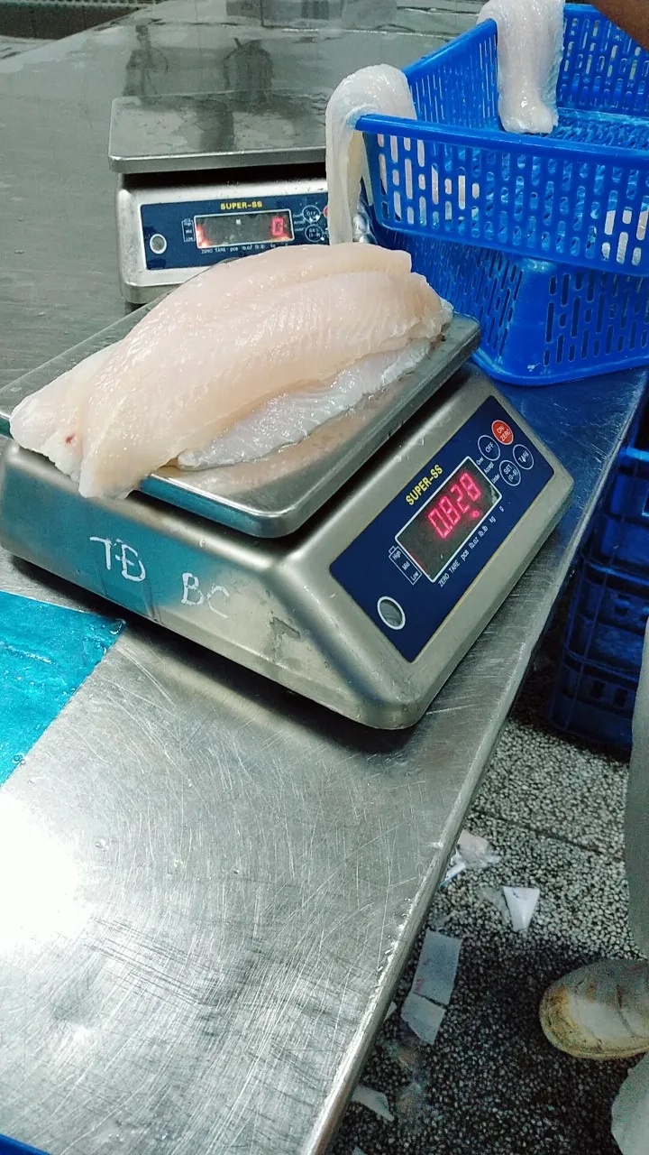 IQF BLOCK FROZEN Bulk Bag Pangasius Hypophthalmus Pangasius Fillet frozen pangasius fillet