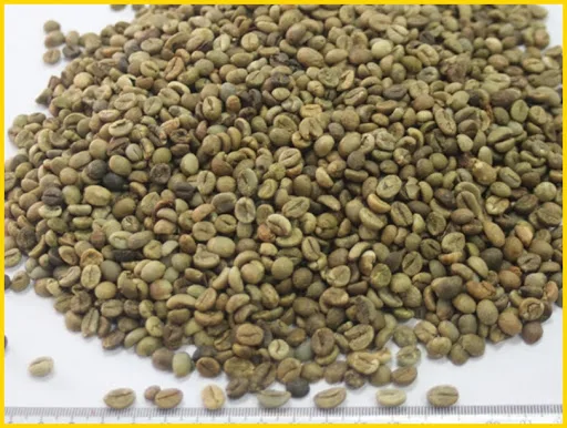 
Good Price High Quality For Wholesale Vietnamese Robusta Coffee NATURAL Origin Type Variety Size Organic cultural 