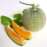 
Being Taken Care By Japanese Standard Procedure Premium Lemon King Lemon Shipping Worldwide 