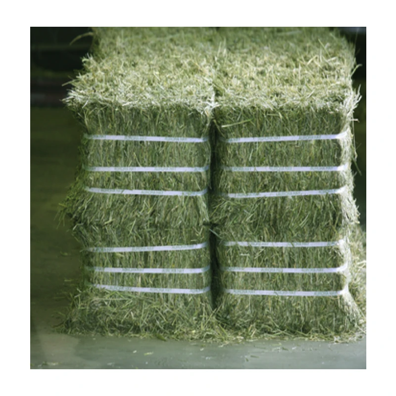 Fresh / Dry Timothy Hay And Alfalfa Hay For Sale