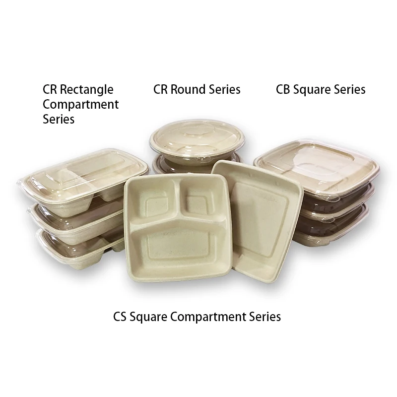 1000ml rectangular biodegradable disposable food container custom printed lid