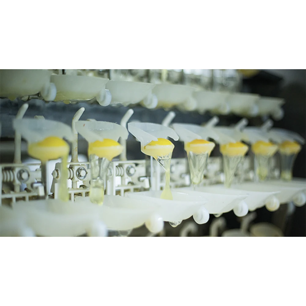 Халяльный Кошерный порошок яичного желтка из Украины