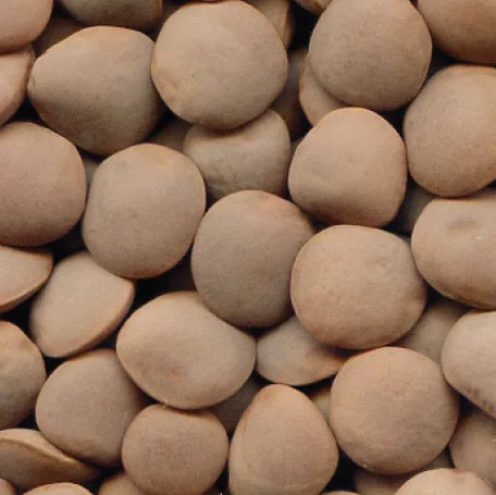 
Blitz - Australian Medium Red Lentils 