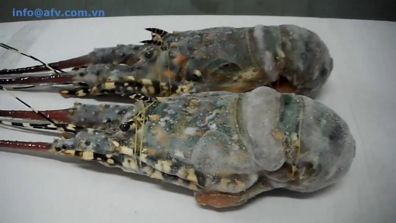 Frozen Lobster3.jpg