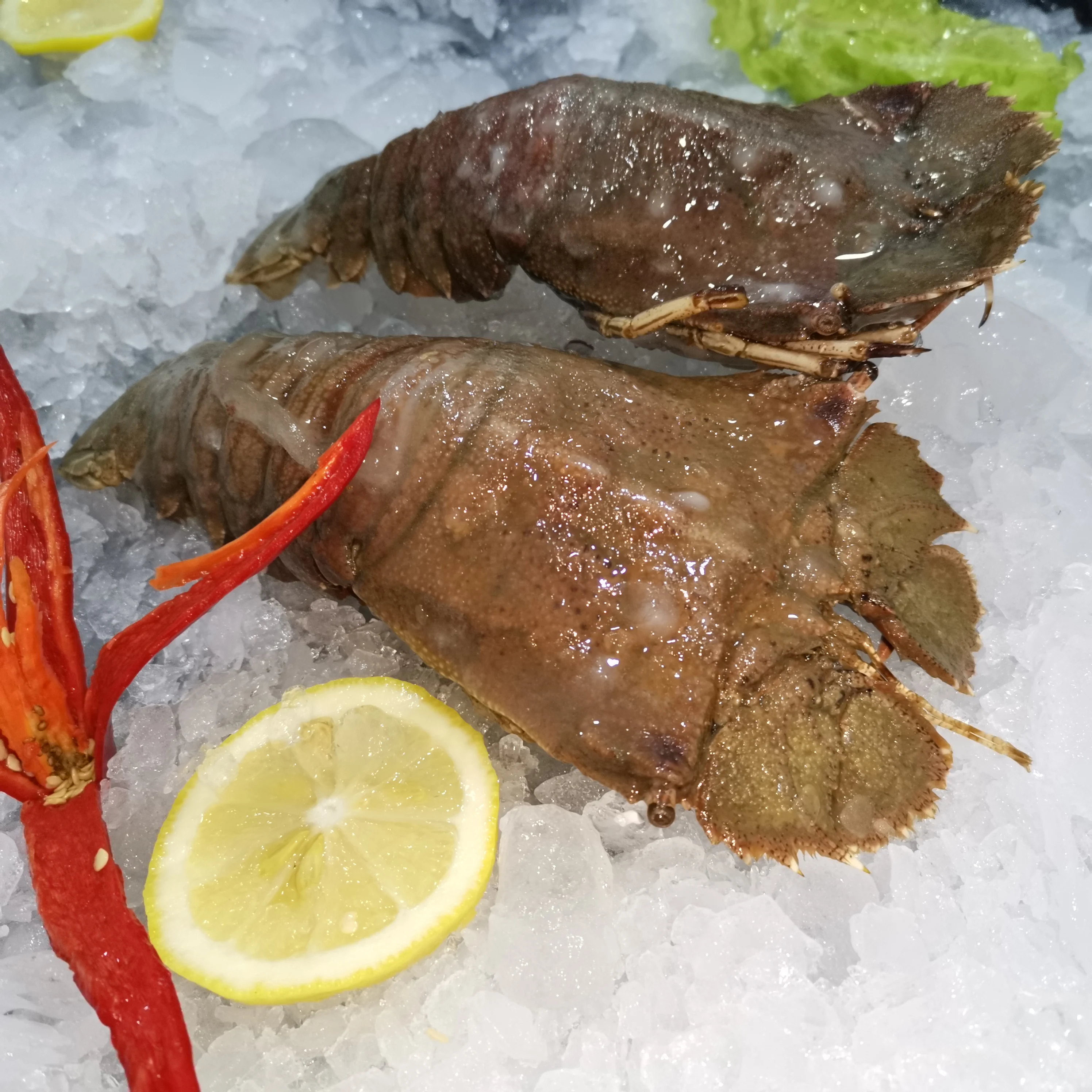  Лучший заводской Рынок морепродуктов Mican Замороженные Свежие тапочки из