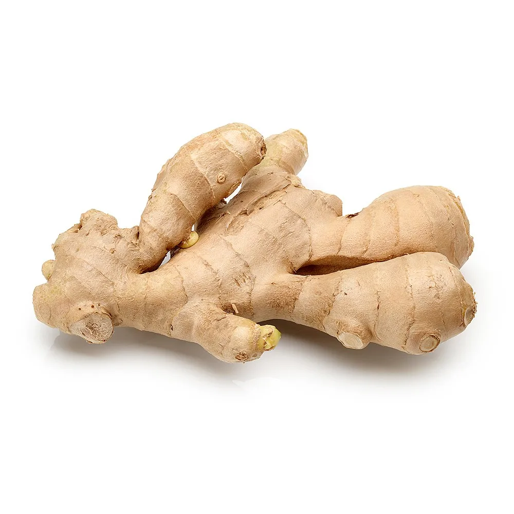 Newest Crop Fresh Ginger Size 100 150 200 250 Gram up