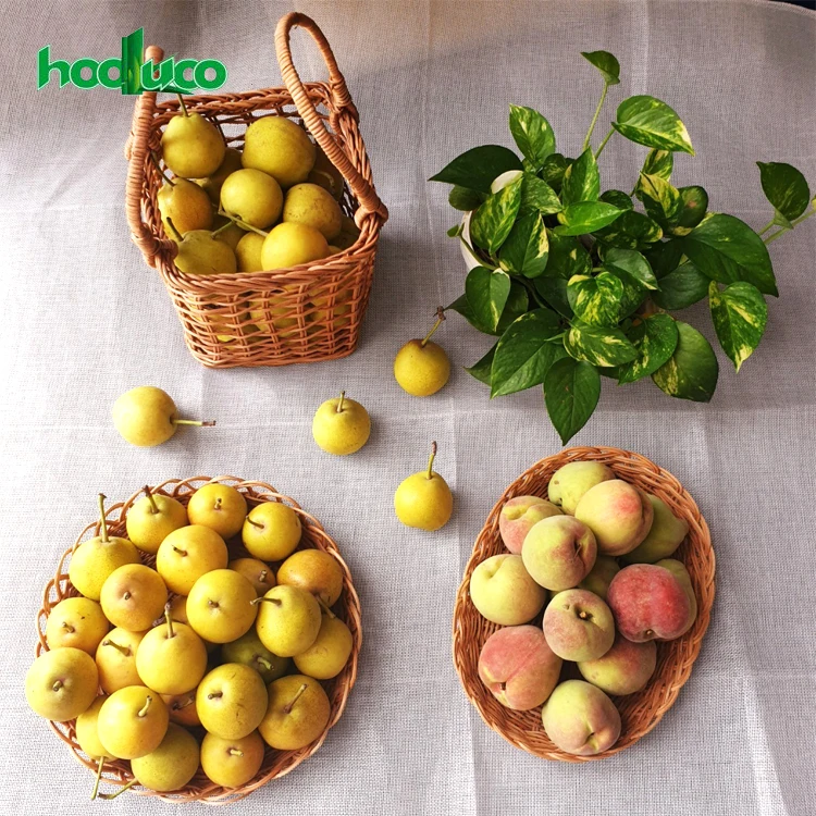 
2020 Top Product High Quality For Exports Luxury Plate Set Logo Manufacturers 