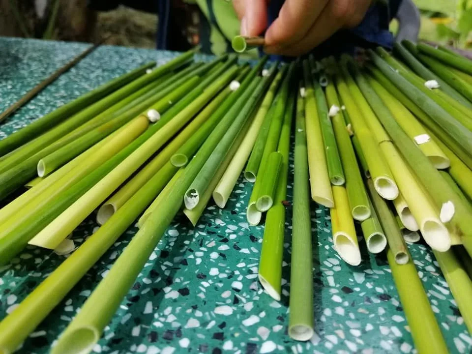 Вьетнамские соломинки для травы по лучшей цене/100% натуральный продукт