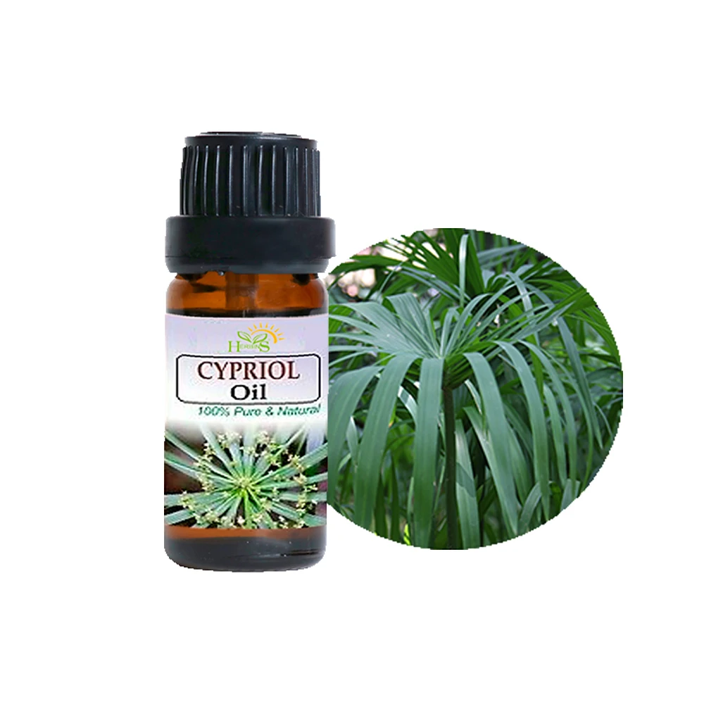 High Quality Pure Organic Cypriol Essential Oil Supplier