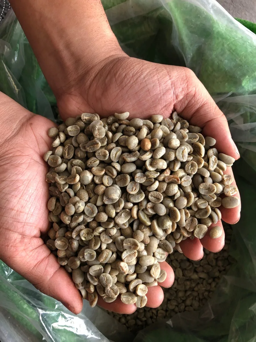 Новый Урожай 2021, качественный кофе Arabica Cau Dat Wet S16, вьетнамские кофейные зерна Arabica