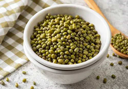 Mung Bean Wholesale Customized Sizes Good Quality For 1MT. Dried Green Mung Bean