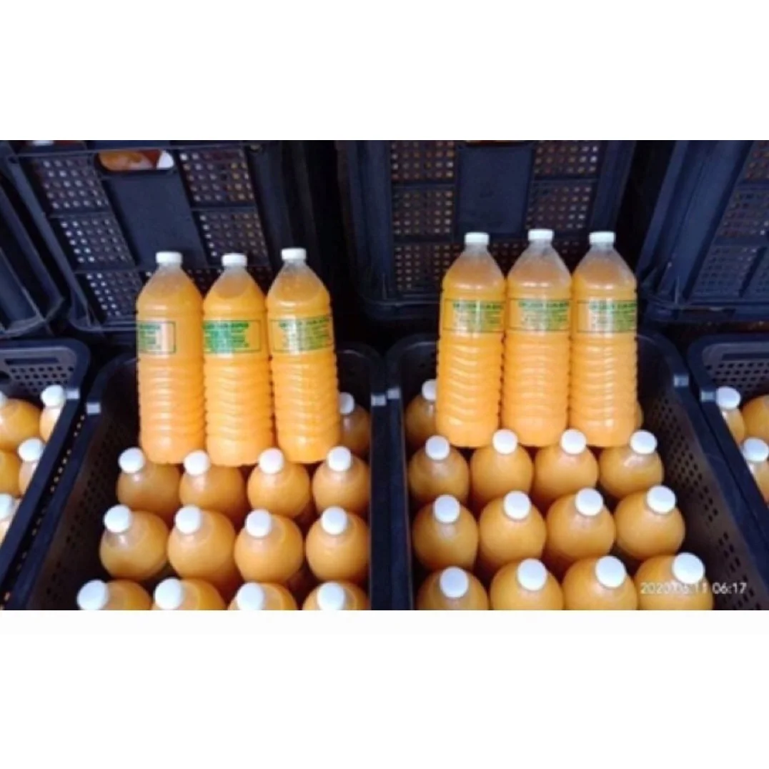 Puree Type IQF Processing Type Frozen Calamansi Juice Export Standard Best Price Origin From Vietnam
