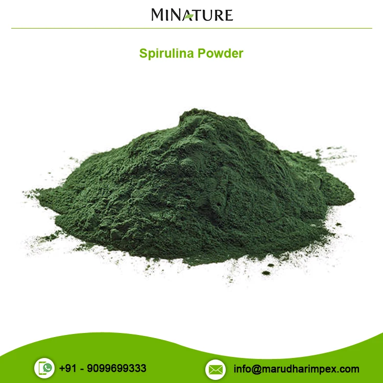 Longer Shelf Life Bulk Selling Arthrospira Platensis Extract Spirulina Powder