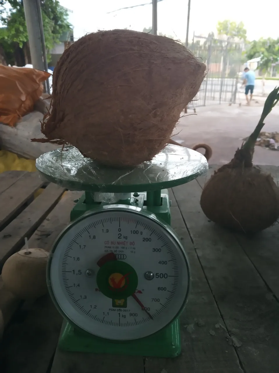 Полуочищенный кокос из Вьетнама (+ 84383234316)