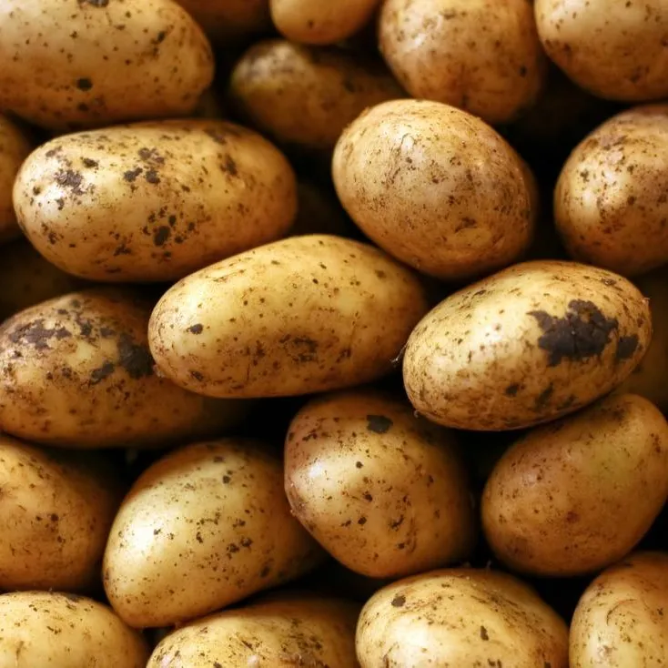 FRESH YELLOW POTATOES