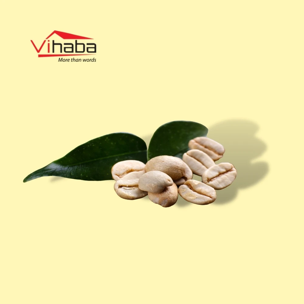 Price of raw coffee beans common coffe beans drinking robusta coffee bean