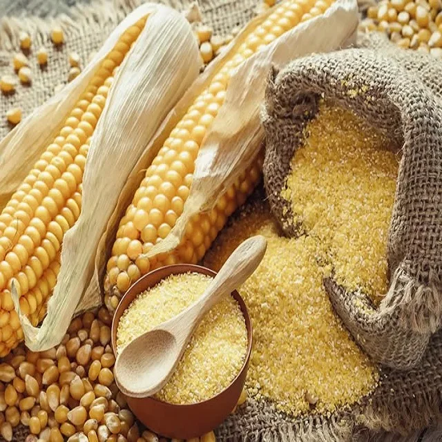 
Top grade-Corn Gluten Meal-Best Factory Large Wholesale price 