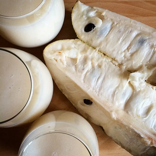 Ароматизированная замороженная Органическая смесь SOURSOP/GRAVIOLA PUREE с лучшим качеством по низкой цене от вьетнамского оптового продавца