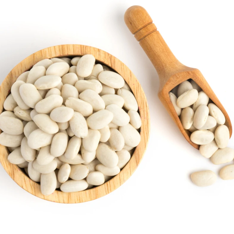 First grade White Kidney Beans from Egypt