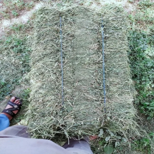 
Alfalfa Hay 