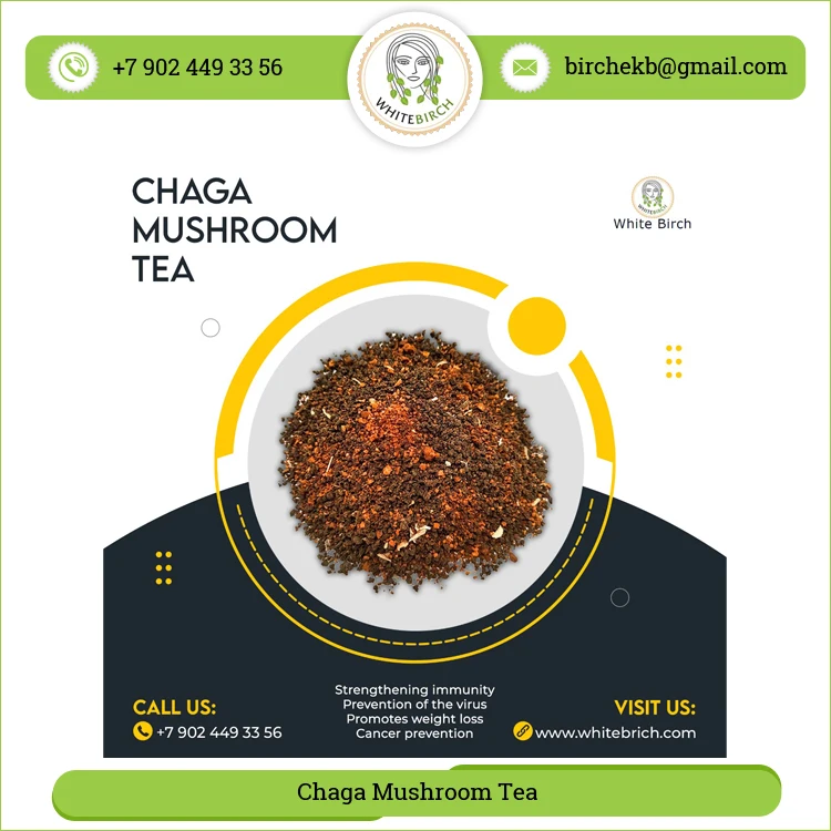 Natural Quality Organic Fresh Chaga Mushroom Tea at Wholesale Price