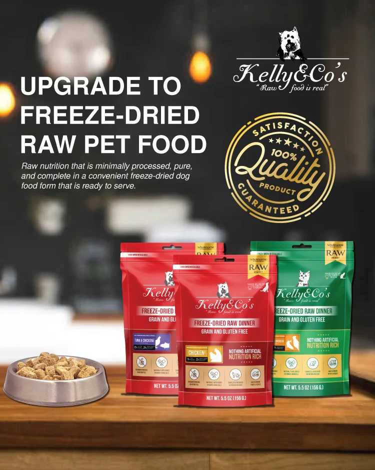 01_Information-Raw-Dinner