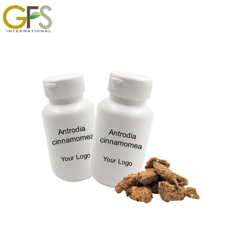 daily Turmeric health food products manufacturers