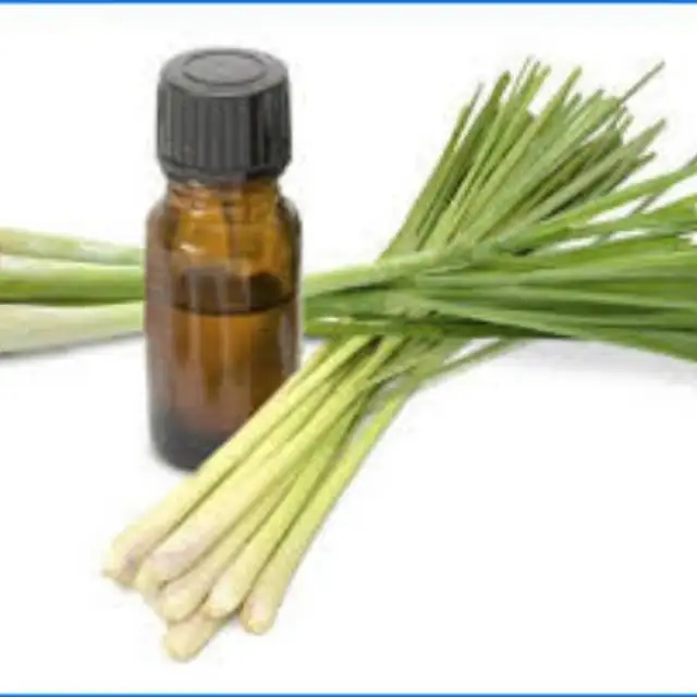 AD Fresh High Quality Super Herbal Organic Dried Lemongrass for Weight Loss of Thai Herbs Agriculture nourishing