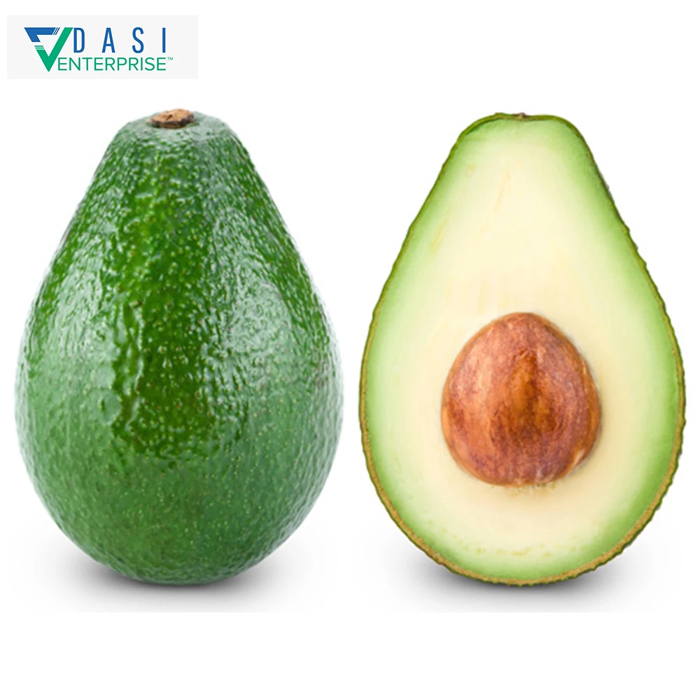  Hot Bulk Selling Of Natural Harvested Green Matured Fresh Avocado From South Africa At Less