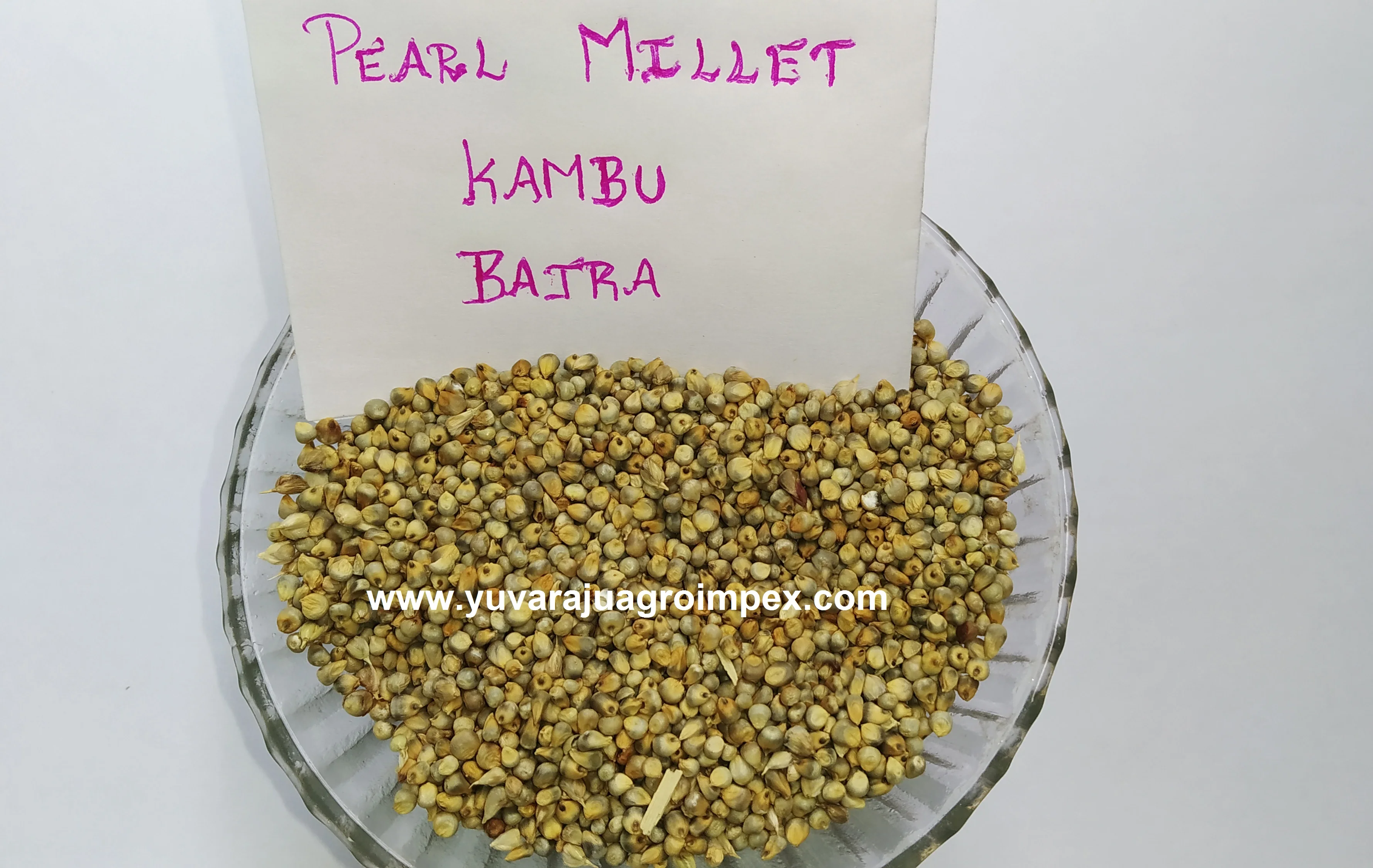 Жемчужные семян пса/лучшее качество экспорт пса в Индии