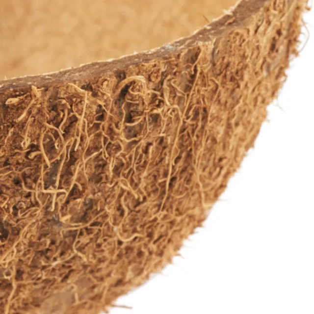 Raw Coconut Shell Material Agriculture Waste