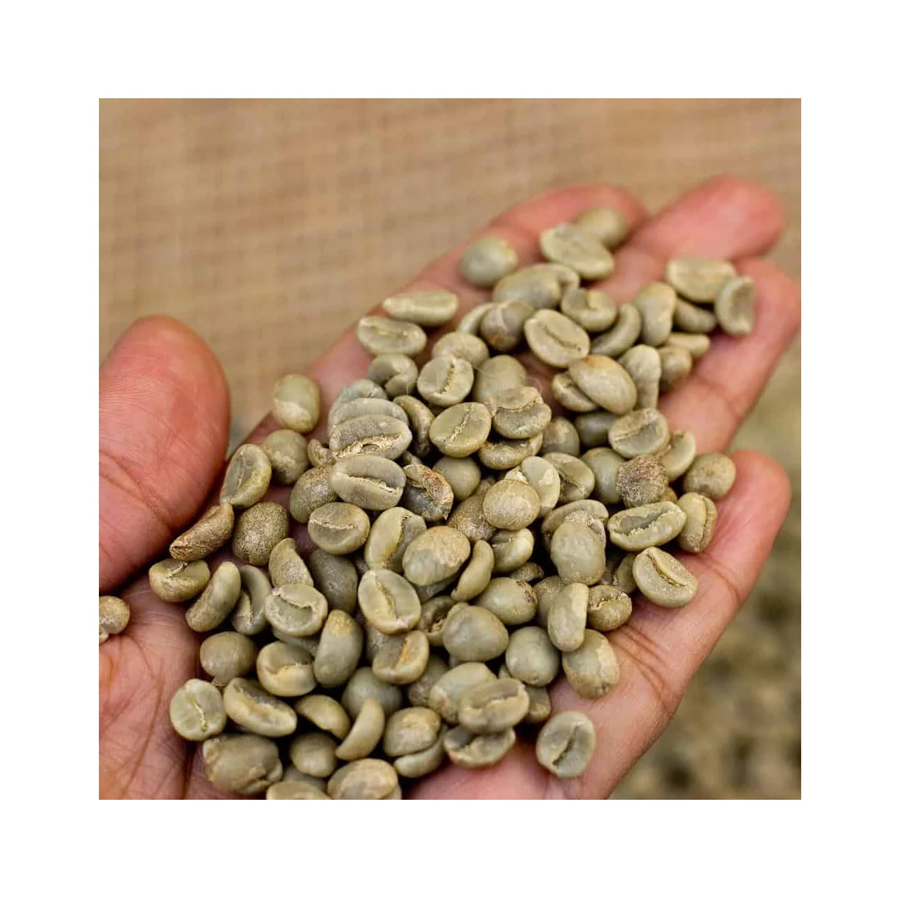 
New Product 2020 Ground Coffee Bag Made in Vietnam Coffee Bean Coffee Beans Arabica 