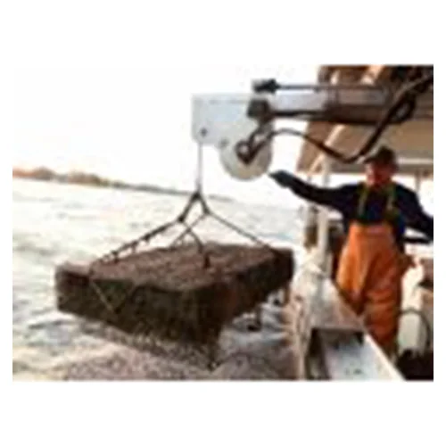 Oyster Bottom Cage aquaculture equipment
