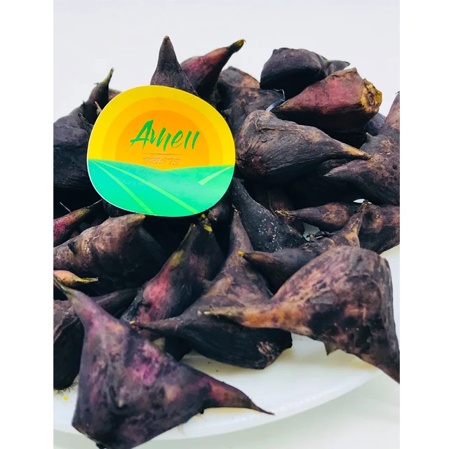 HIGH QUALITY WATER CALTROP FROM VIET NAM