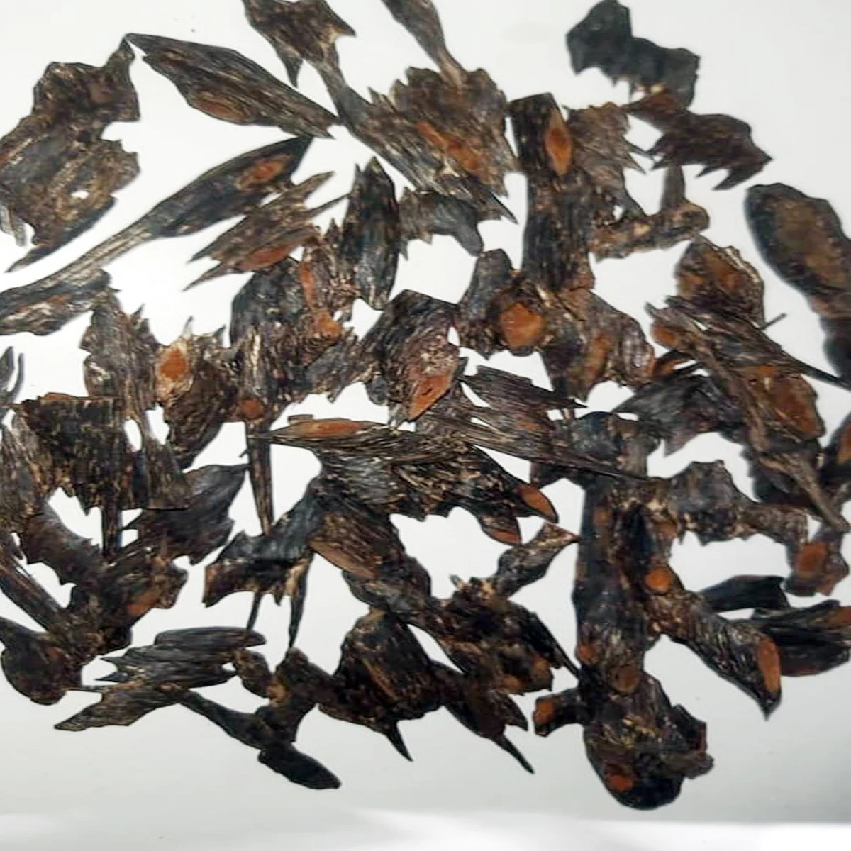 Agarwood Manipuri