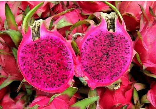Red/White Dragon Fruit High Quality 80%-90% Maturity Made In Vietnam Tropical Food 100%