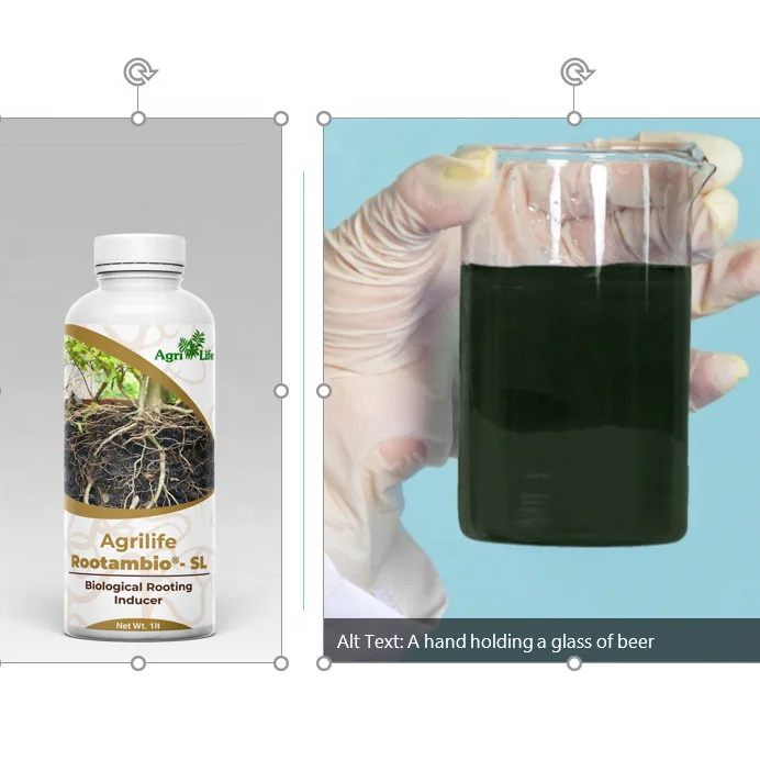 Высококачественное азотное удобрение для почвы здоровья корней органическое Активатор роста растений