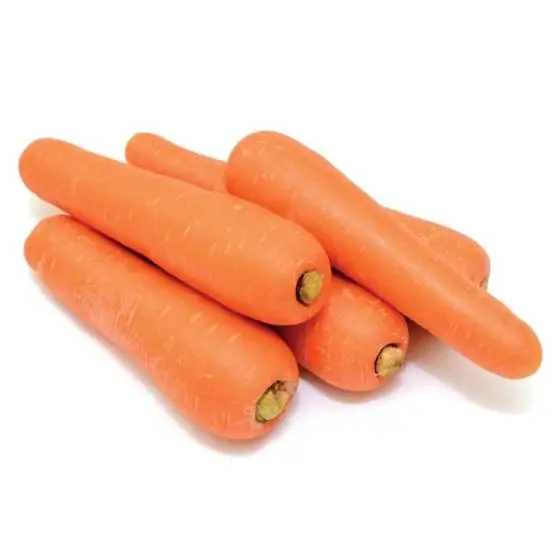 Fresh Wholesale Yellow Carrots