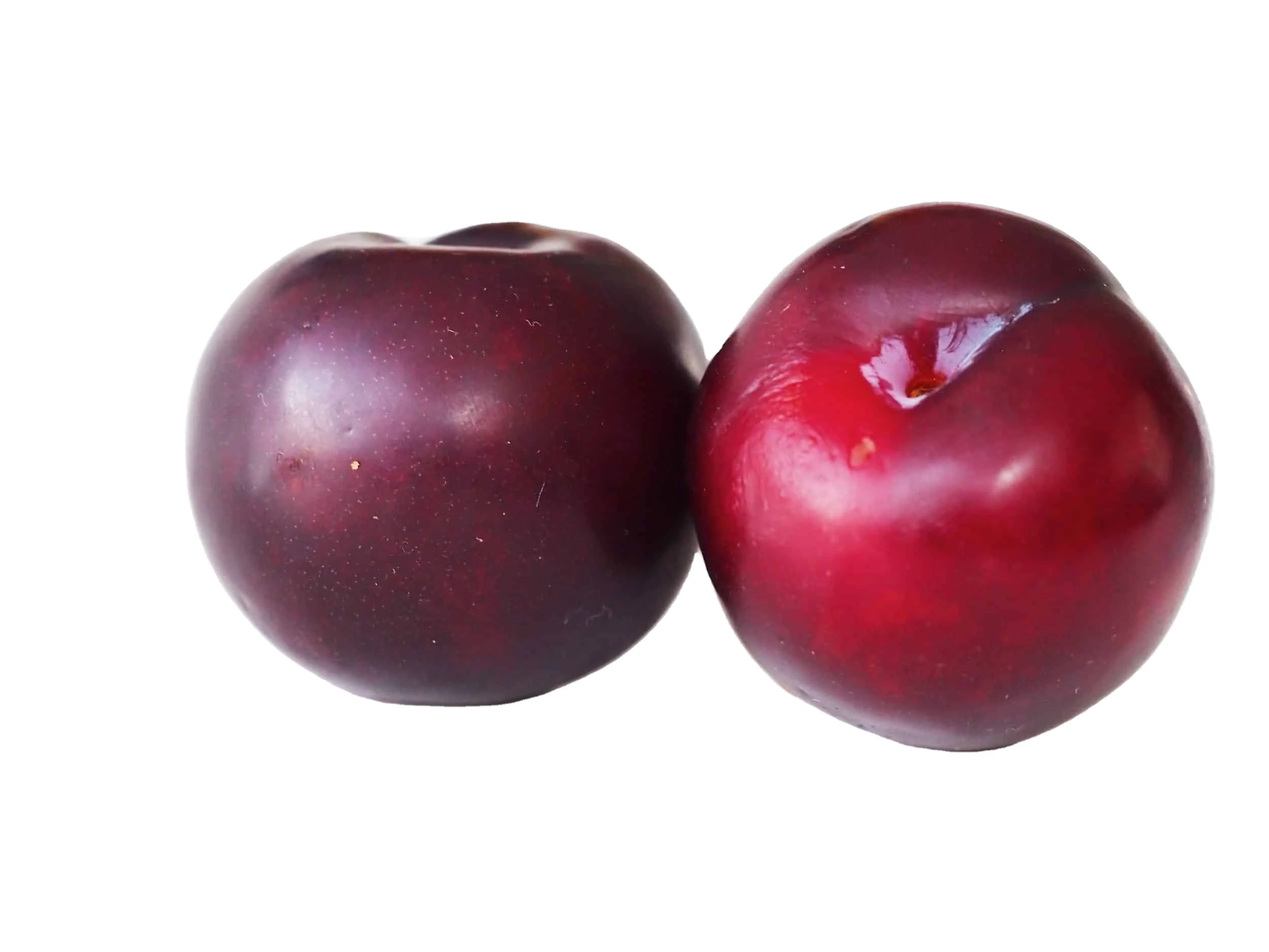 Plum Cheap price and quick response with high quality and carefully packaged for export
