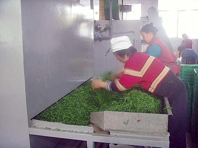 Industrial belt dryer machine for hemp leaves seaweed