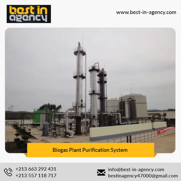 Dry and Wet Anaerobic Biogas-Nature Gas Conversion Plant Upgrading/Decarburization/Purification System