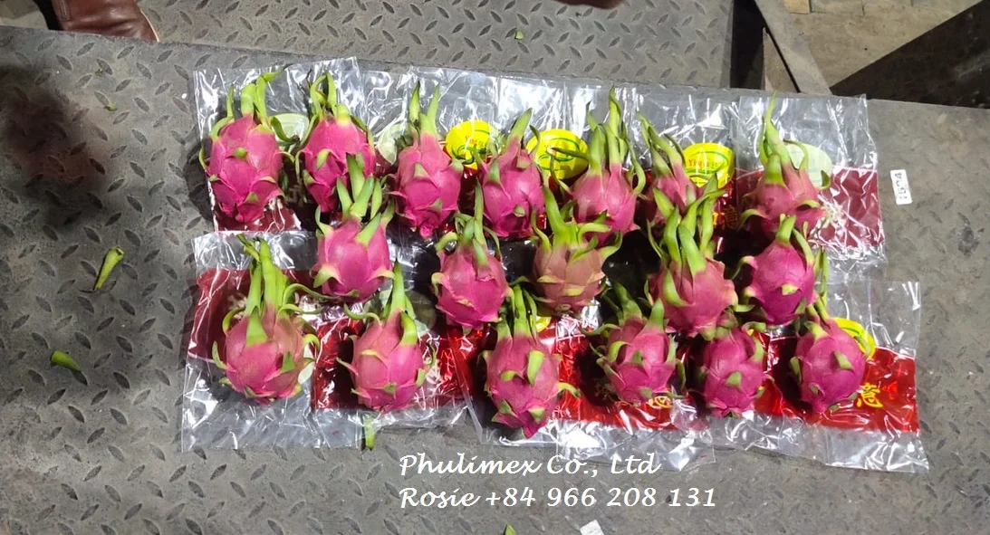 VIETNAM white Dragon fruit/ whatsapp +84966208131