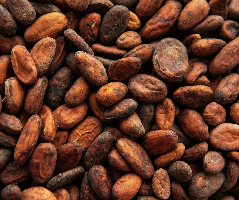 Top Grade Wholesale Cocoa Bean For Sale In Cheap Price