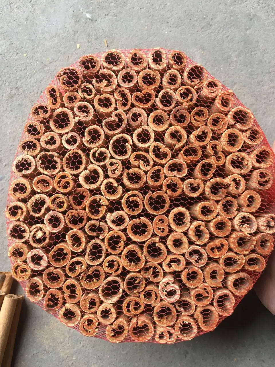 CIGAR CASSIA 100% (2)